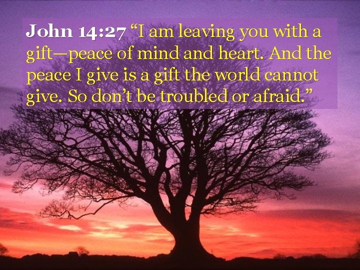 John 14: 27 “I am leaving you with a gift—peace of mind and heart.