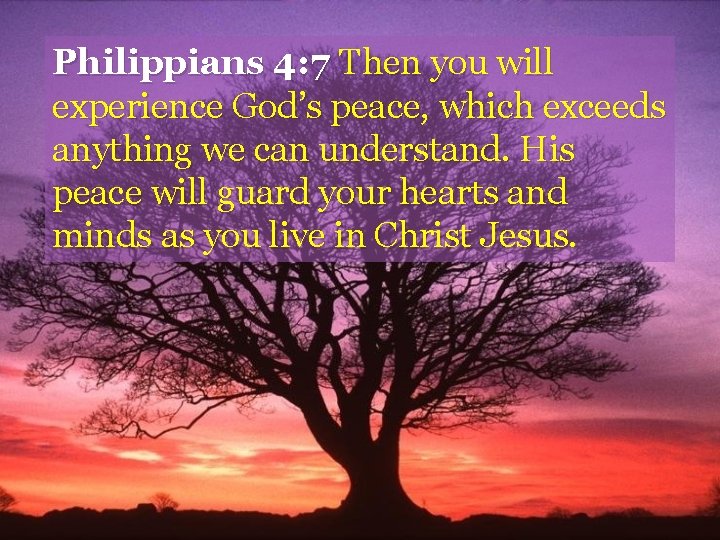 Philippians 4: 7 Then you will experience God’s peace, which exceeds anything we can