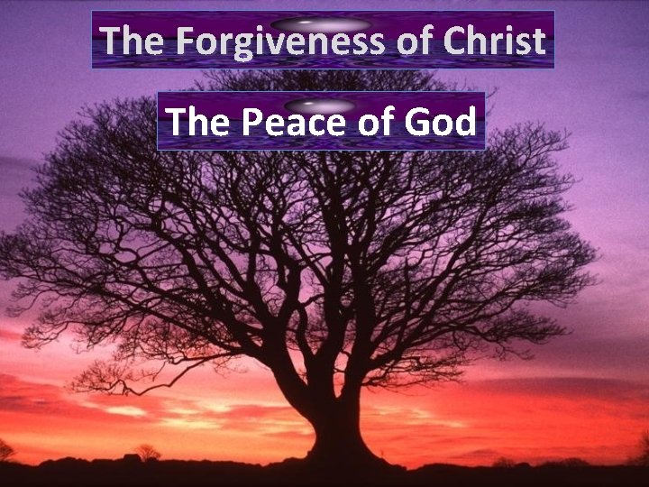 The Forgiveness of Christ The Peace of God 