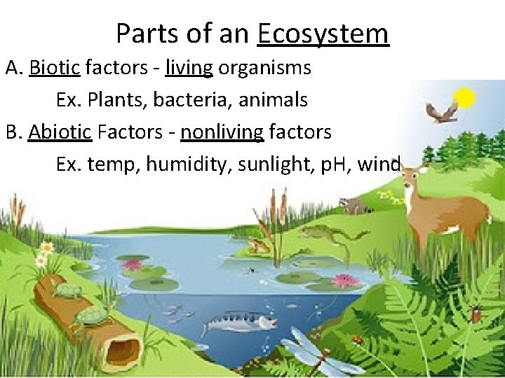 Parts of an Ecosystem A. Biotic factors - living organisms Ex. Plants, bacteria, animals
