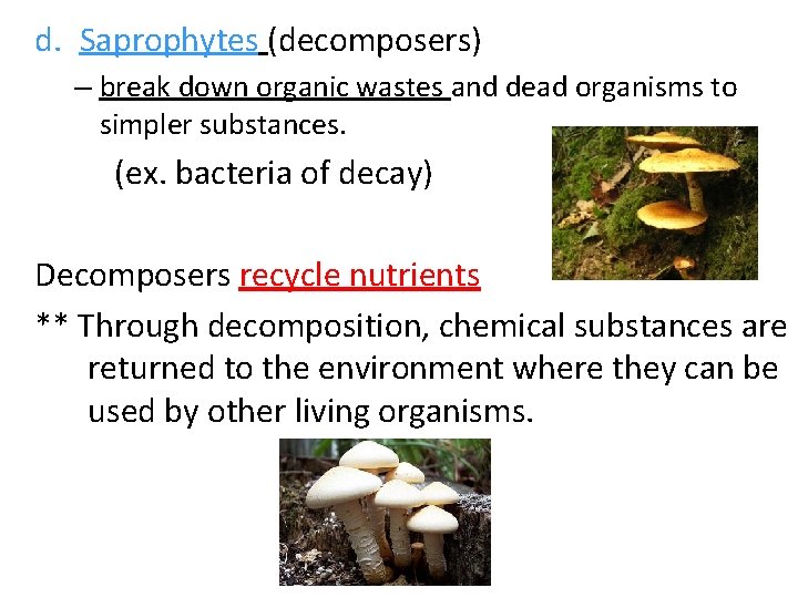 d. Saprophytes (decomposers) – break down organic wastes and dead organisms to simpler substances.