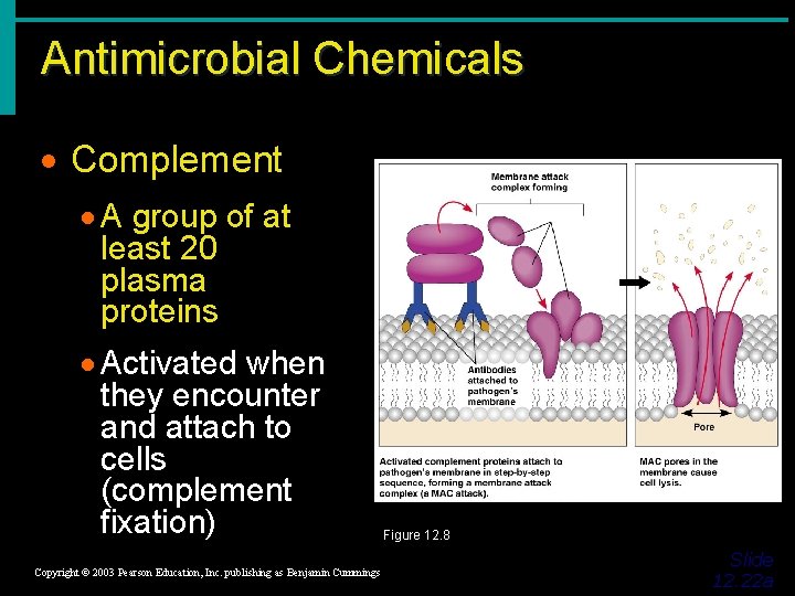 Antimicrobial Chemicals · Complement · A group of at least 20 plasma proteins ·