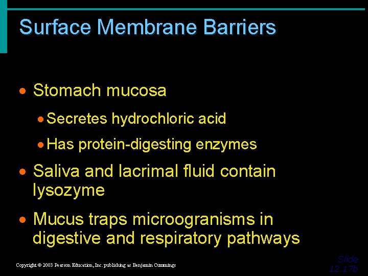 Surface Membrane Barriers · Stomach mucosa · Secretes hydrochloric acid · Has protein-digesting enzymes