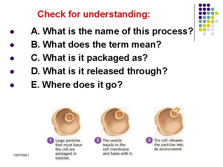 Check for understanding: l l l 12/27/2021 A. What is the name of this