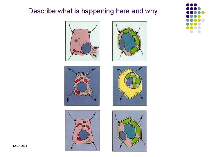 Describe what is happening here and why 12/27/2021 