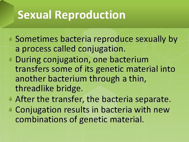 Sexual Reproduction Sometimes bacteria reproduce sexually by a process called conjugation. During conjugation, one