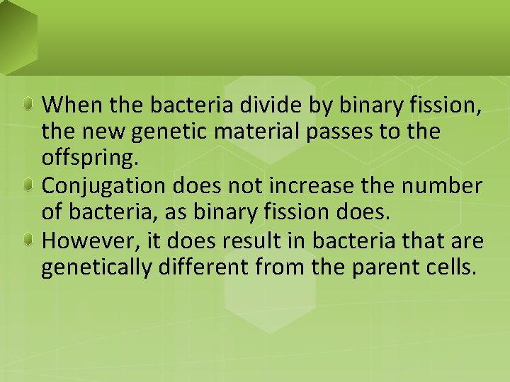 When the bacteria divide by binary fission, the new genetic material passes to the