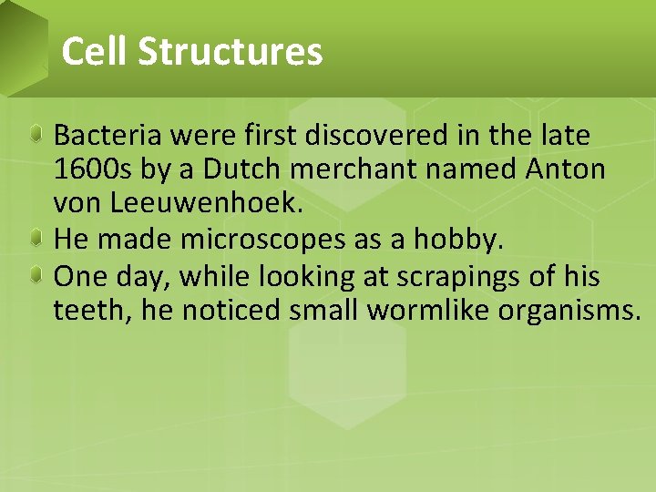 Cell Structures Bacteria were first discovered in the late 1600 s by a Dutch
