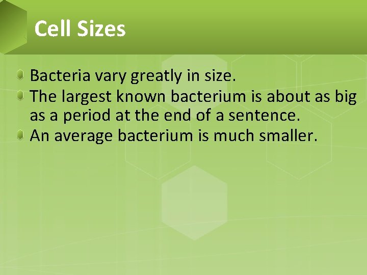 Cell Sizes Bacteria vary greatly in size. The largest known bacterium is about as