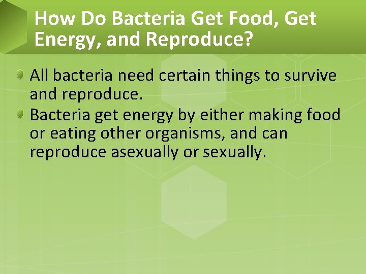 How Do Bacteria Get Food, Get Energy, and Reproduce? All bacteria need certain things