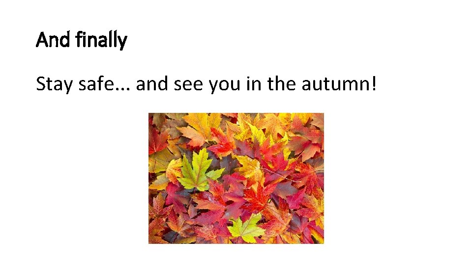 And finally Stay safe. . . and see you in the autumn! 