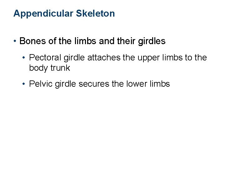 Appendicular Skeleton • Bones of the limbs and their girdles • Pectoral girdle attaches