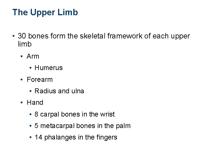 The Upper Limb • 30 bones form the skeletal framework of each upper limb