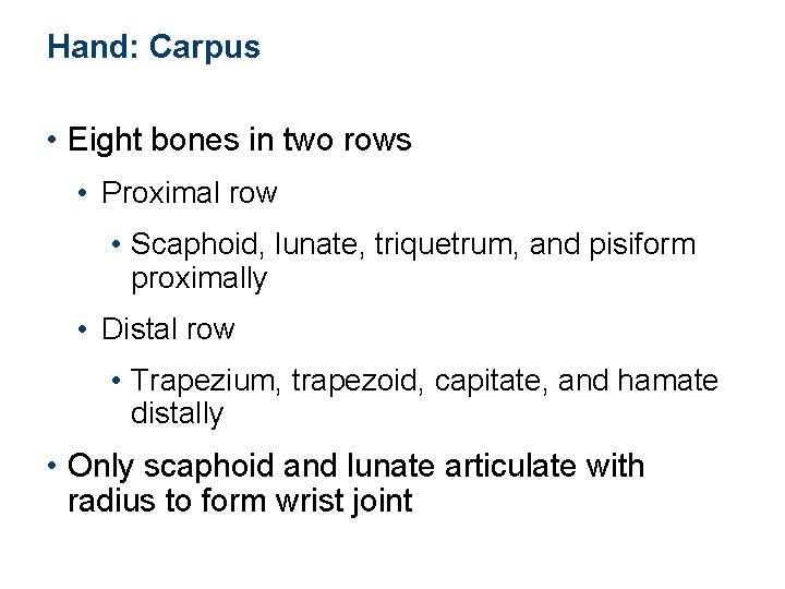 Hand: Carpus • Eight bones in two rows • Proximal row • Scaphoid, lunate,