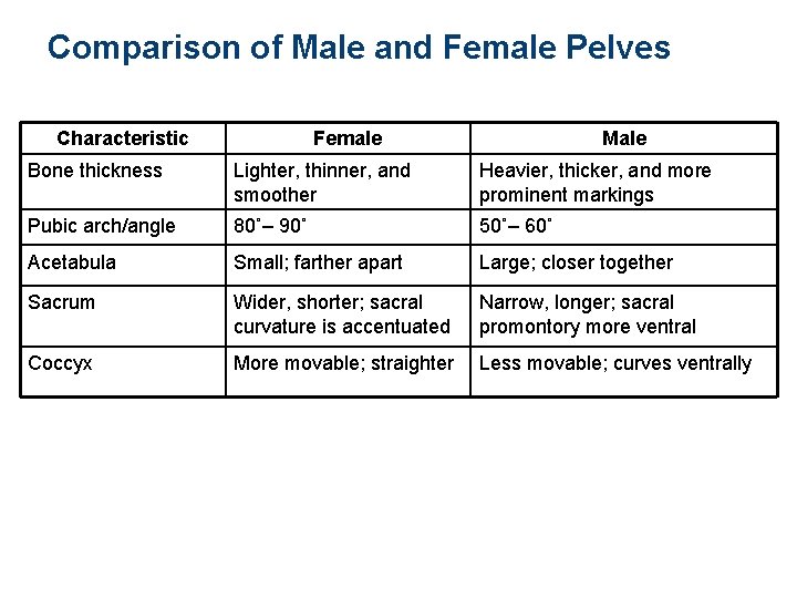 Comparison of Male and Female Pelves Characteristic Female Male Bone thickness Lighter, thinner, and