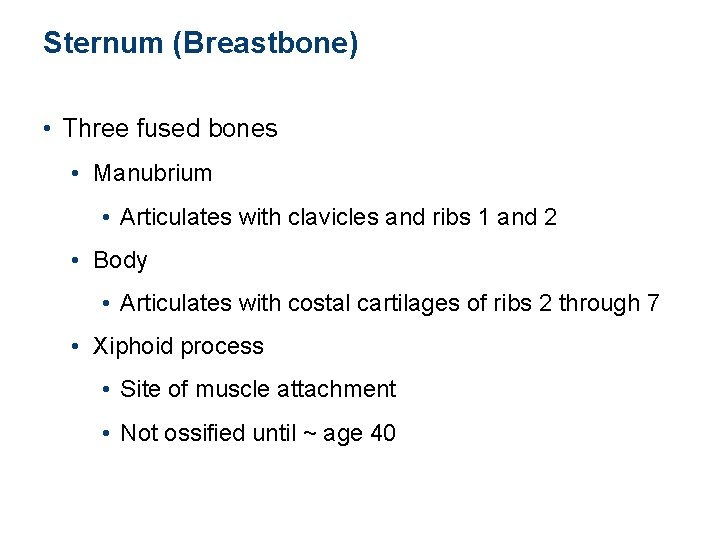 Sternum (Breastbone) • Three fused bones • Manubrium • Articulates with clavicles and ribs