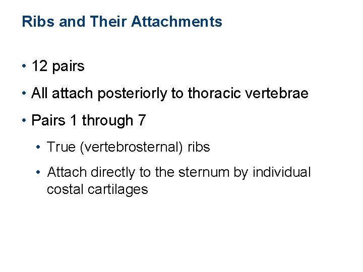 Ribs and Their Attachments • 12 pairs • All attach posteriorly to thoracic vertebrae