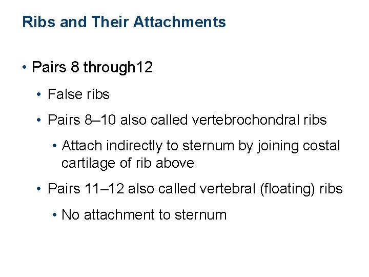 Ribs and Their Attachments • Pairs 8 through 12 • False ribs • Pairs