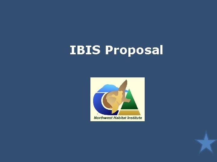 IBIS Proposal 