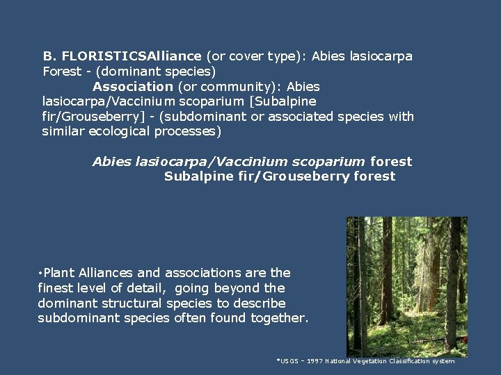 B. FLORISTICSAlliance (or cover type): Abies lasiocarpa Forest - (dominant species) Association (or community):