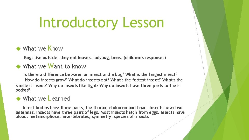 Introductory Lesson What we Know Bugs live outside, they eat leaves, ladybug, bees, (children's