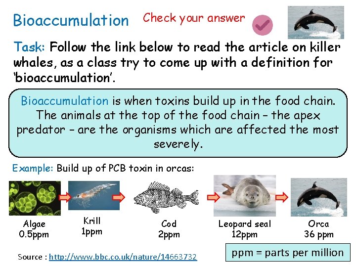 Bioaccumulation Check your answer Task: Follow the link below to read the article on