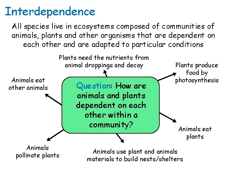Interdependence All species live in ecosystems composed of communities of animals, plants and other