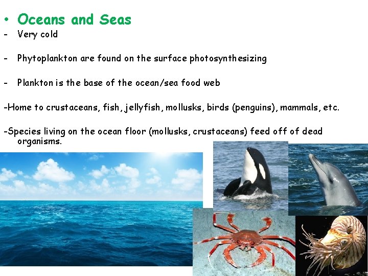  • Oceans and Seas - Very cold - Phytoplankton are found on the
