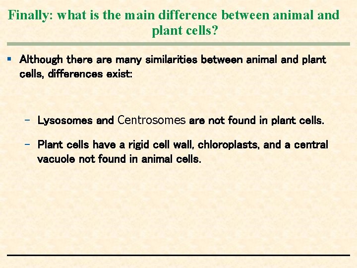 Finally: what is the main difference between animal and plant cells? § Although there