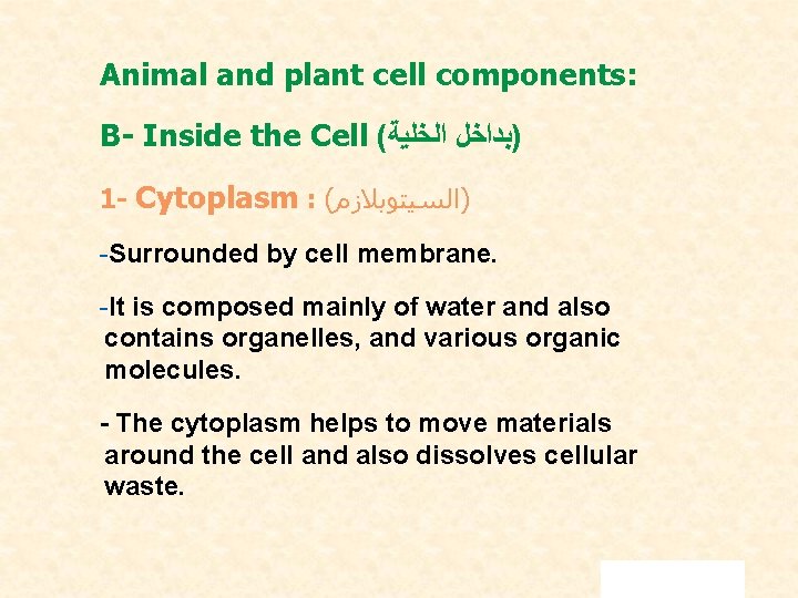 Animal and plant cell components: B- Inside the Cell ( )ﺑﺪﺍﺧﻞ ﺍﻟﺨﻠﻴﺔ 1 -