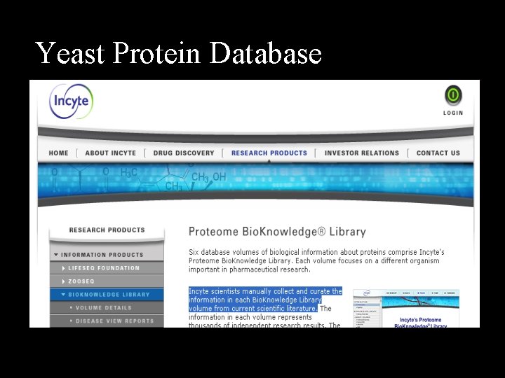 Yeast Protein Database 