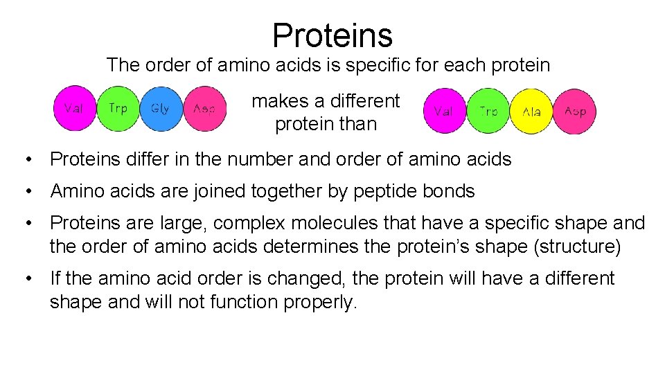 Proteins The order of amino acids is specific for each protein makes a different