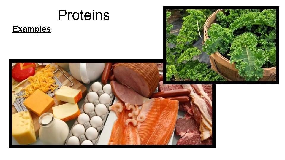 Proteins Examples 