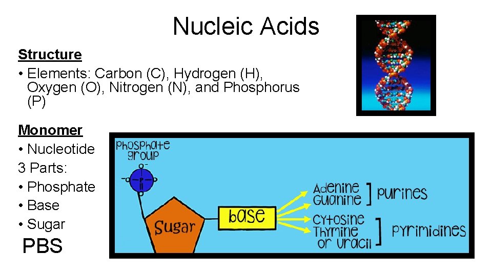 Proteins Structure Elements Carbon C Hydrogen H Oxygen
