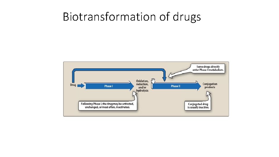 Biotransformation of drugs 