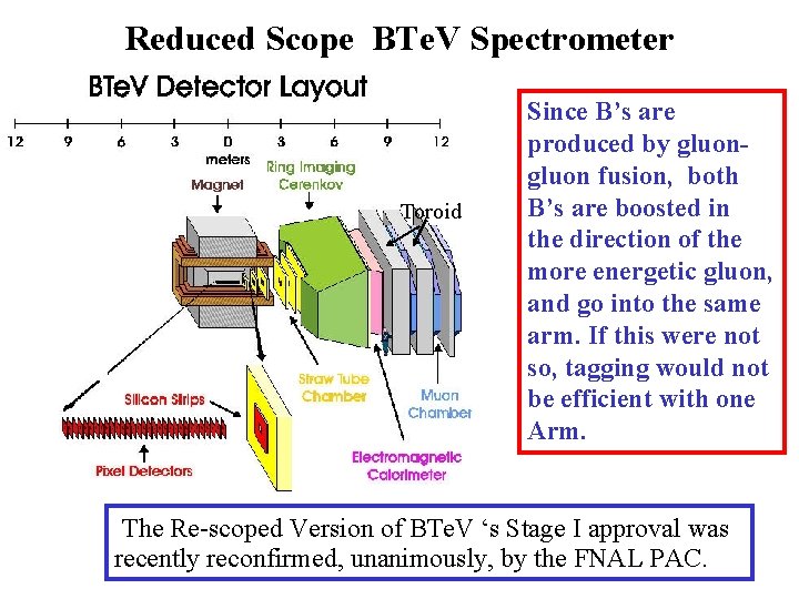 Reduced Scope BTe. V Spectrometer Toroid Since B’s are produced by gluon fusion, both