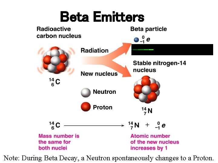 Beta Emitters Note: During Beta Decay, a Neutron spontaneously changes to a. Page Proton. Beta Emitters Note: During Beta Decay, a Neutron spontaneously changes to a. Page Proton.