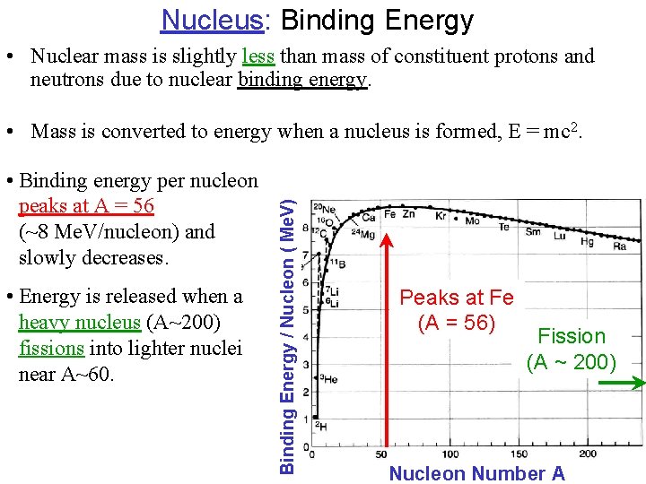 Nucleus: Binding Energy • Nuclear mass is slightly less than mass of constituent protons