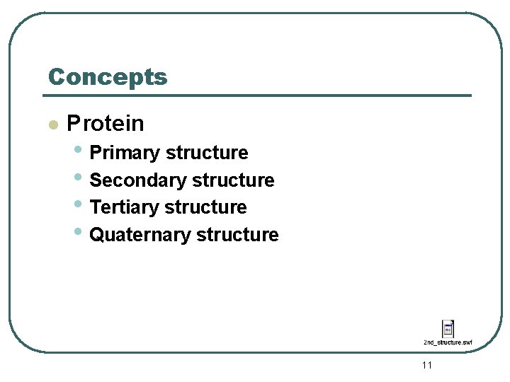 Concepts l Protein • Primary structure • Secondary structure • Tertiary structure • Quaternary
