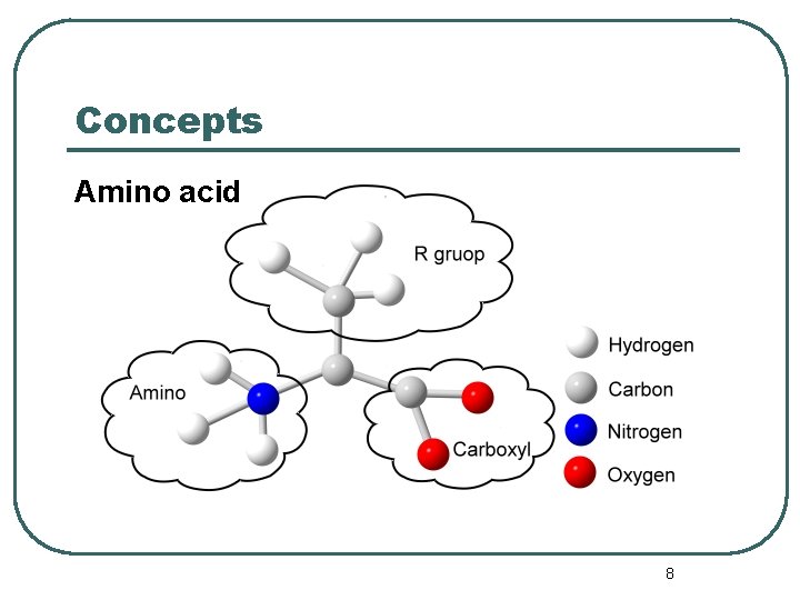 Concepts Amino acid 8 