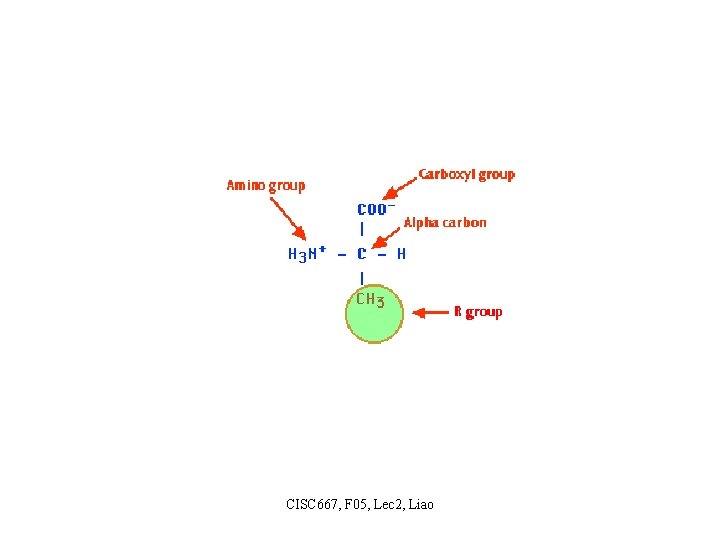 CISC 667, F 05, Lec 2, Liao 