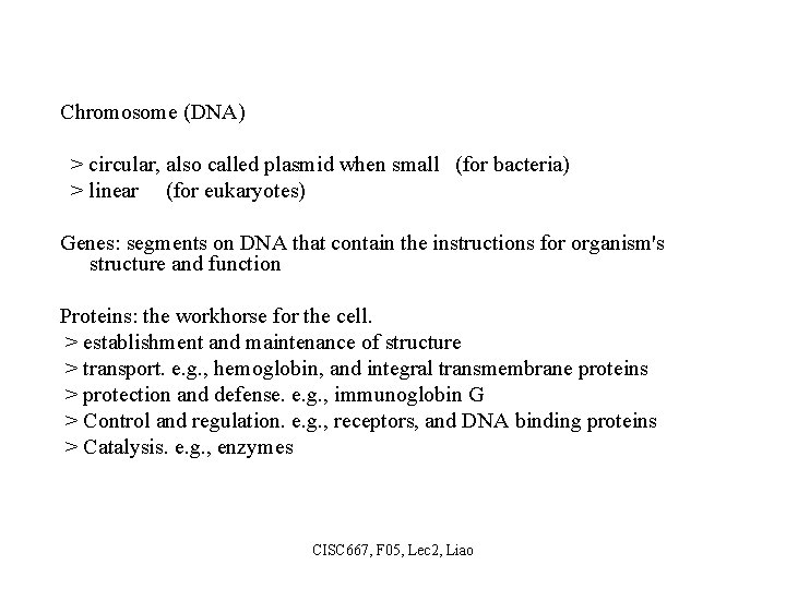 Chromosome (DNA) > circular, also called plasmid when small (for bacteria) > linear (for
