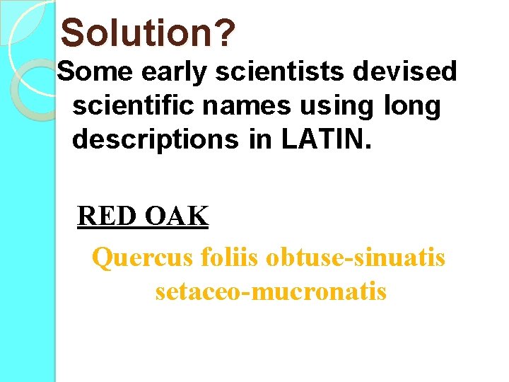 Solution? Some early scientists devised scientific names using long descriptions in LATIN. RED OAK
