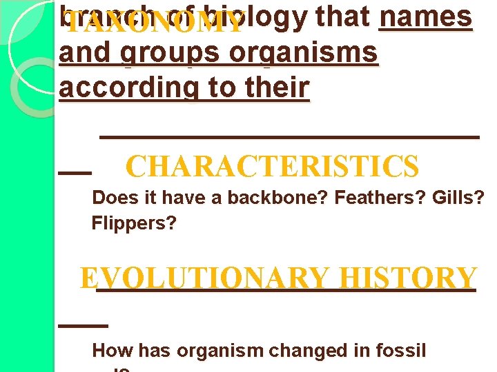 branch of biology that names TAXONOMY and groups organisms according to their ____________ __
