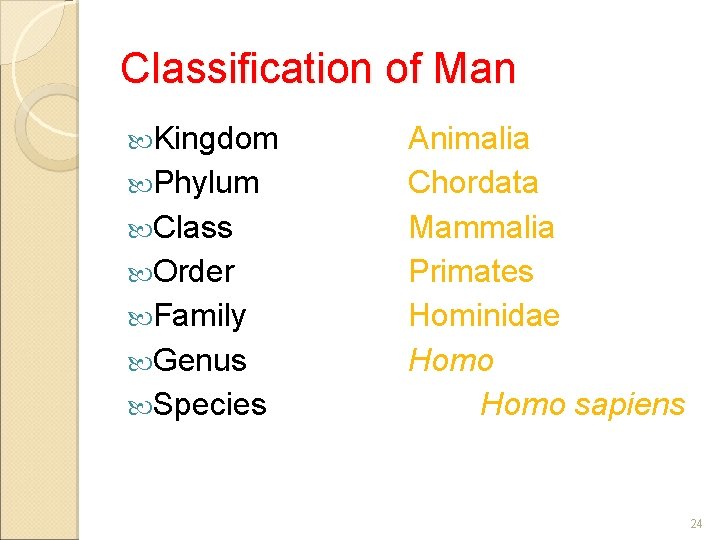 Classification of Man Kingdom Phylum Class Order Family Genus Species Animalia Chordata Mammalia Primates