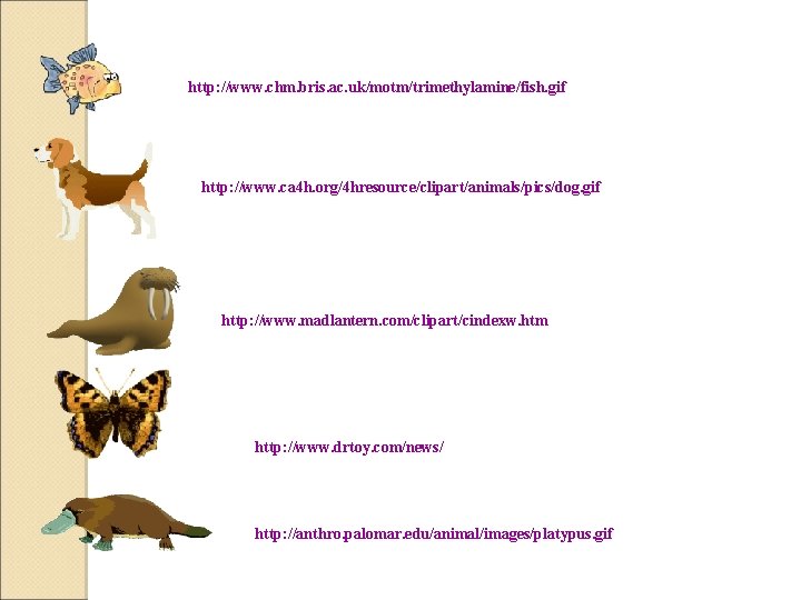 http: //www. chm. bris. ac. uk/motm/trimethylamine/fish. gif http: //www. ca 4 h. org/4 hresource/clipart/animals/pics/dog.