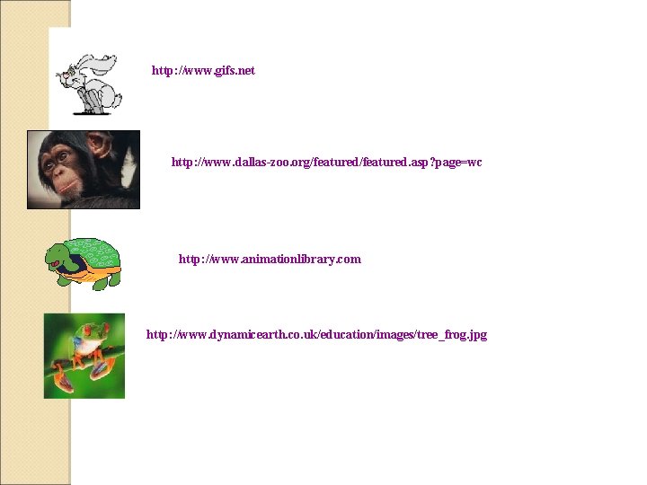 http: //www. gifs. net http: //www. dallas-zoo. org/featured. asp? page=wc http: //www. animationlibrary. com