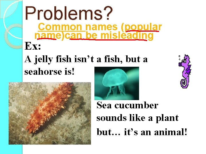 Problems? Common names (popular name)can be misleading Ex: A jelly fish isn’t a fish,