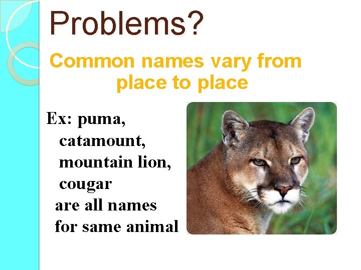 Problems? Common names vary from place to place Ex: puma, catamount, mountain lion, cougar