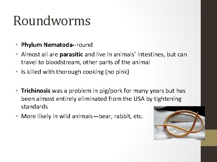 Roundworms • Phylum Nematoda--round • Almost all are parasitic and live in animals’ intestines,